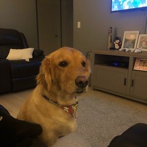 Meet your Posher, Eric